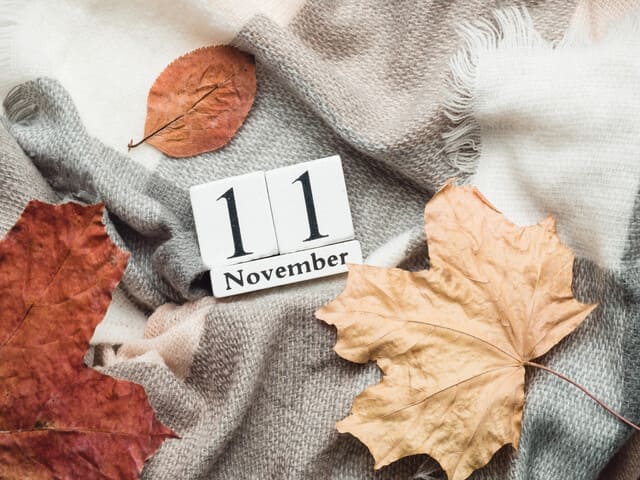11/11